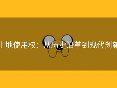 土地使用权：从历史沿革到现代创新