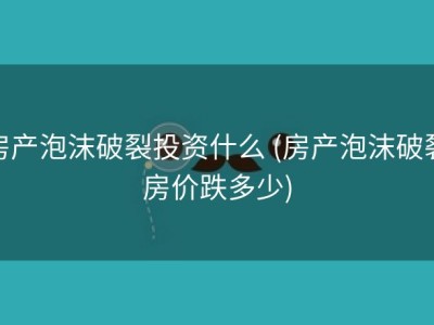 房产泡沫破裂投资什么 (房产泡沫破裂房价跌多少)