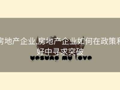 房地产企业,房地产企业如何在政策利好中寻求突破