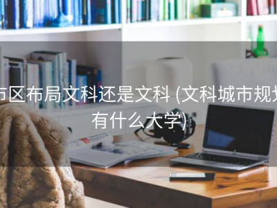 市区布局文科还是文科 (文科城市规划有什么大学)