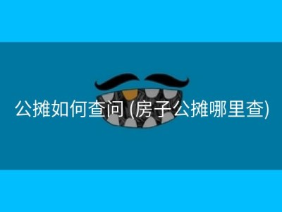 公摊如何查问 (房子公摊哪里查)