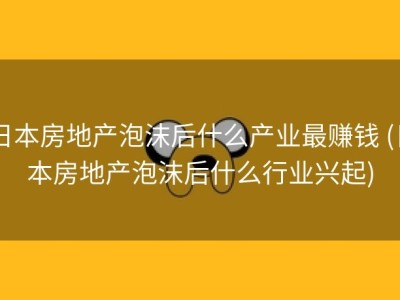 日本房地产泡沫后什么产业最赚钱 (日本房地产泡沫后什么行业兴起)