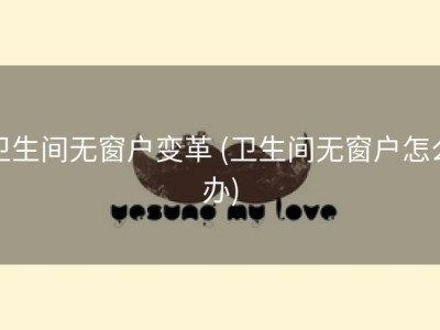 卫生间无窗户变革 (卫生间无窗户怎么办)