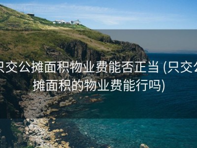 只交公摊面积物业费能否正当 (只交公摊面积的物业费能行吗)