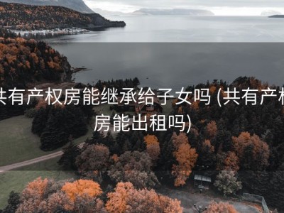 共有产权房能继承给子女吗 (共有产权房能出租吗)