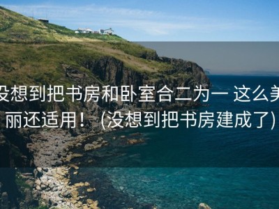 没想到把书房和卧室合二为一 这么美丽还适用！ (没想到把书房建成了)