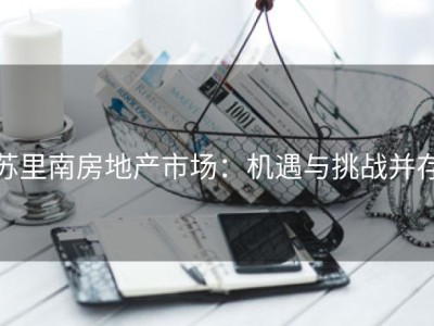 苏里南房地产市场：机遇与挑战并存