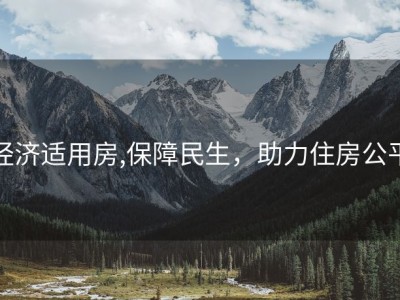 经济适用房,保障民生，助力住房公平
