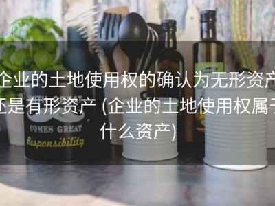 企业的土地使用权的确认为无形资产还是有形资产 (企业的土地使用权属于什么资产)