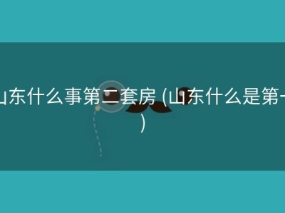 山东什么事第二套房 (山东什么是第一)