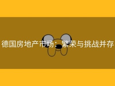 德国房地产市场：繁荣与挑战并存