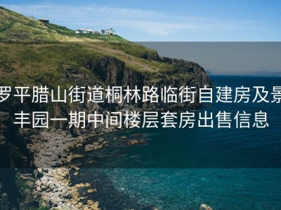 罗平腊山街道桐林路临街自建房及景丰园一期中间楼层套房出售信息