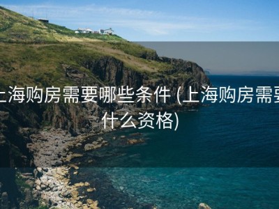 上海购房需要哪些条件 (上海购房需要什么资格)