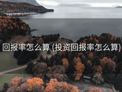回报率怎么算 (投资回报率怎么算)