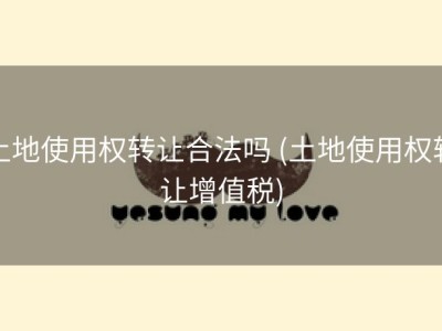 土地使用权转让合法吗 (土地使用权转让增值税)