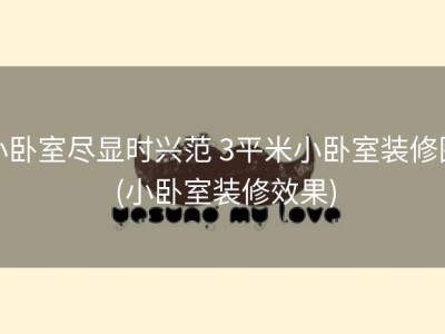 小卧室尽显时兴范 3平米小卧室装修图 (小卧室装修效果)