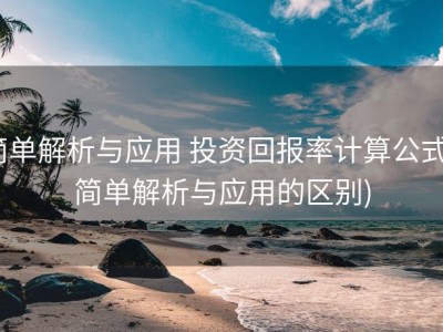 简单解析与应用 投资回报率计算公式 (简单解析与应用的区别)