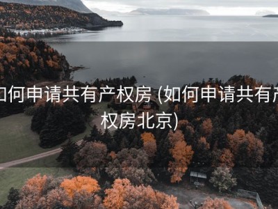 如何申请共有产权房 (如何申请共有产权房北京)