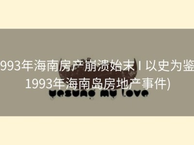 1993年海南房产崩溃始末 I 以史为鉴 (1993年海南岛房地产事件)