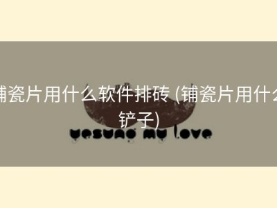 铺瓷片用什么软件排砖 (铺瓷片用什么铲子)