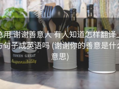 急用 谢谢善意人 有人知道怎样翻译上方句子成英语吗 (谢谢你的善意是什么意思)