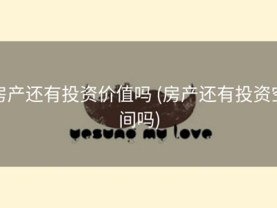 房产还有投资价值吗 (房产还有投资空间吗)