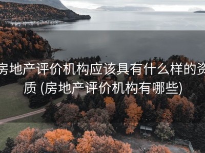 房地产评价机构应该具有什么样的资质 (房地产评价机构有哪些)