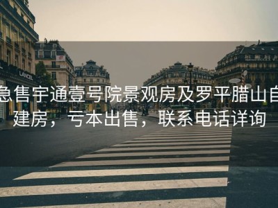 急售宇通壹号院景观房及罗平腊山自建房，亏本出售，联系电话详询