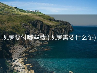 现房要付哪些费 (现房需要什么证)