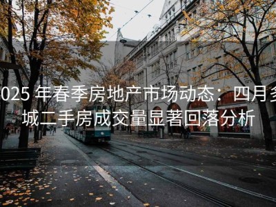 2025 年春季房地产市场动态：四月多城二手房成交量显著回落分析