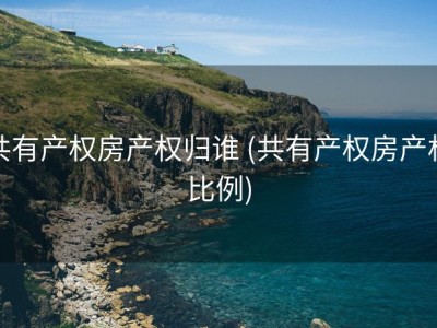 共有产权房产权归谁 (共有产权房产权比例)