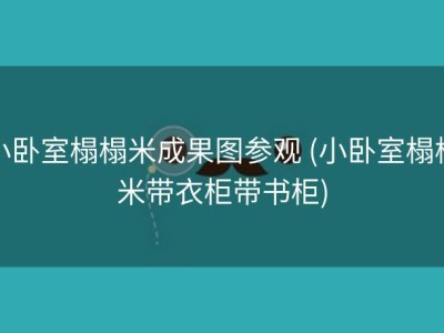 小卧室榻榻米成果图参观 (小卧室榻榻米带衣柜带书柜)