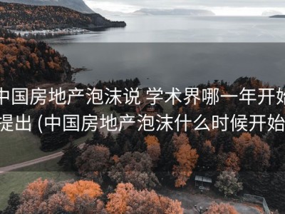 中国房地产泡沫说 学术界哪一年开始提出 (中国房地产泡沫什么时候开始)