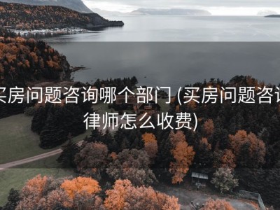 买房问题咨询哪个部门 (买房问题咨询律师怎么收费)