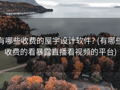 有哪些收费的屋宇设计软件? (有哪些收费的看暴露直播看视频的平台)