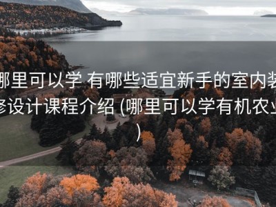 哪里可以学 有哪些适宜新手的室内装修设计课程介绍 (哪里可以学有机农业)