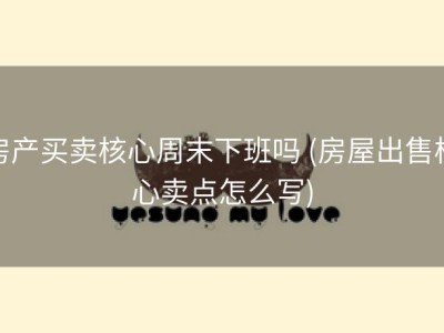 房产买卖核心周末下班吗 (房屋出售核心卖点怎么写)