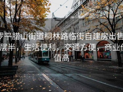 罗平腊山街道桐林路临街自建房出售，6层半，生活便利，交通方便，商业价值高