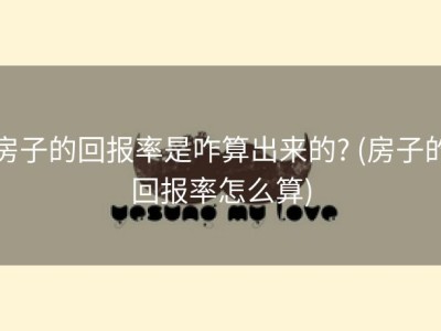房子的回报率是咋算出来的? (房子的回报率怎么算)