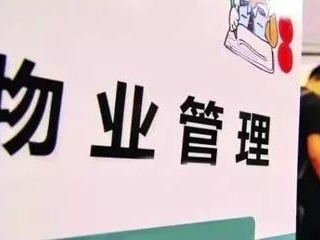 物业服务,物业服务在现代社区建设中的重要性