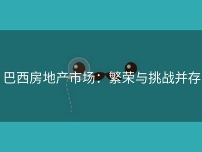 巴西房地产市场：繁荣与挑战并存