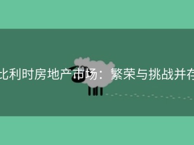 比利时房地产市场：繁荣与挑战并存
