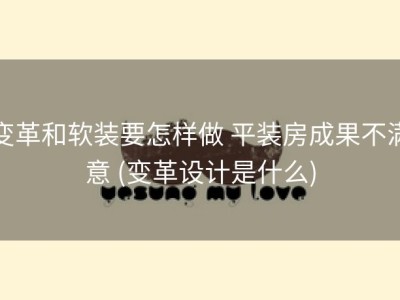 变革和软装要怎样做 平装房成果不满意 (变革设计是什么)