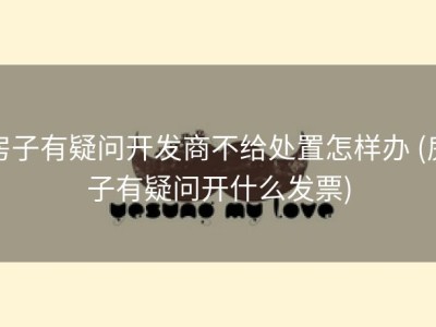 房子有疑问开发商不给处置怎样办 (房子有疑问开什么发票)