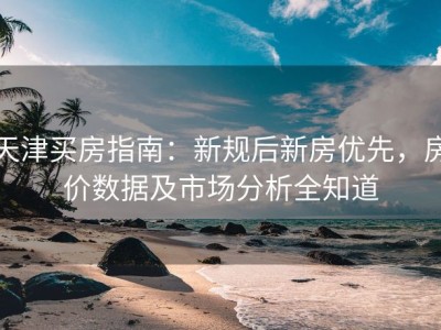 天津买房指南：新规后新房优先，房价数据及市场分析全知道