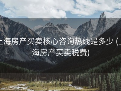 上海房产买卖核心咨询热线是多少 (上海房产买卖税费)