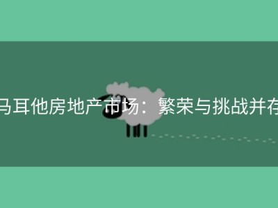 马耳他房地产市场：繁荣与挑战并存