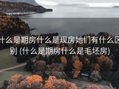 什么是期房什么是现房她们有什么区别 (什么是期房什么是毛坯房)