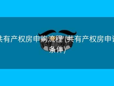 共有产权房申购流程 (共有产权房申请条件)