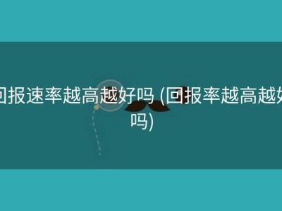 回报速率越高越好吗 (回报率越高越好吗)